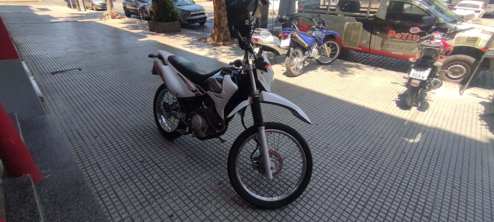 Imagen de WhatsApp 2024-12-17 a las 14.12.23_b0b41214