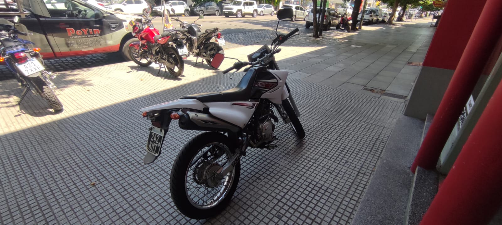 Imagen de WhatsApp 2024-12-17 a las 14.12.23_c40832fd