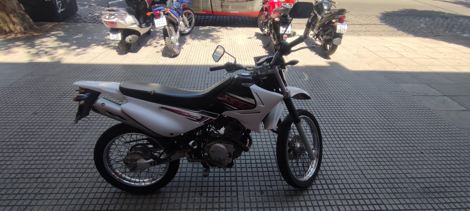 Imagen de WhatsApp 2024-12-17 a las 14.12.24_f4cd5b05